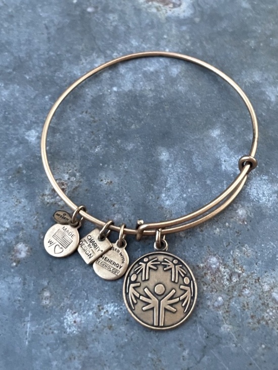 Alex and Ani Jewelry - Alex and Ani Energy Mental Health Resilience Bronze Charm Bracelet